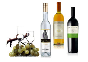 6 Panconesi vini