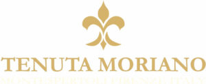 LOGO TENUTAMORIANOAGRITi